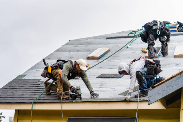 Professional Roofing technician working in Nielsville, MN